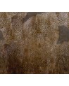 Papel Pintado CHEETAH WDCH1703 - WALL AND DECO