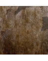 Papel Pintado CHEETAH WDCH1703 - WALL AND DECO