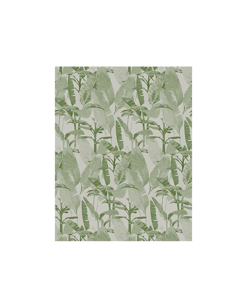 Papel Pintado LOST PARADISE WDLP1702 - WALL AND DECO