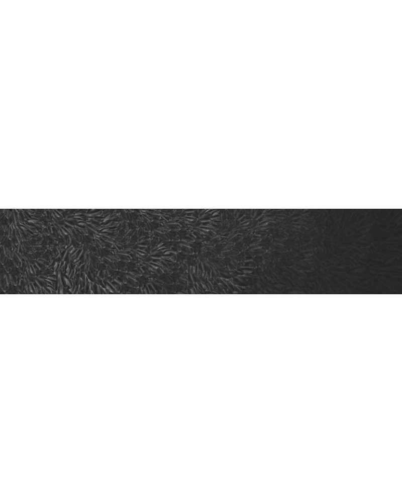 Papel Pintado THE DARK SIDE WDDS1701 - WALL AND DECO