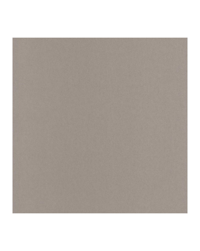 Papel Pintado HELS17400603 - Casadeco