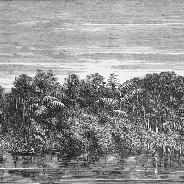 Papel Pintado JUNGLEI NKSINN1601 - INKIOSTRO BIANCO Papel Pintado JUNGLEI NKSINN1601 - INKIOSTRO BIANCO
