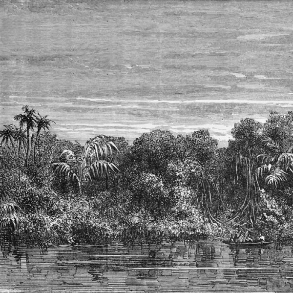 Papel Pintado JUNGLEI NKSINN1601 - INKIOSTRO BIANCO Papel Pintado JUNGLEI NKSINN1601 - INKIOSTRO BIANCO