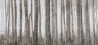 Papel Pintado LITTLE RED RIDING HOOD INKGFAY1501 - INKIOSTRO BIANCO