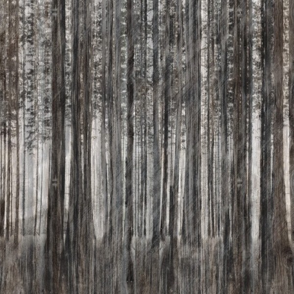 Papel Pintado ROBIN HOOD INKTORE1502 - INKIOSTRO BIANCO