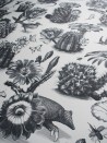 Papel Pintado Priscilla Black White DVS006 - DIVINE SAVAGES