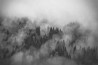 Papel Pintado FOGGY HILLS MURAL - ANEWALL