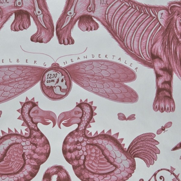 Papel Pintado Extinct Magenta WP W0100-03 - CLARKE & CLARKE Papel Pintado Extinct Magenta WP W0100-03 - CLARKE & CLARKE