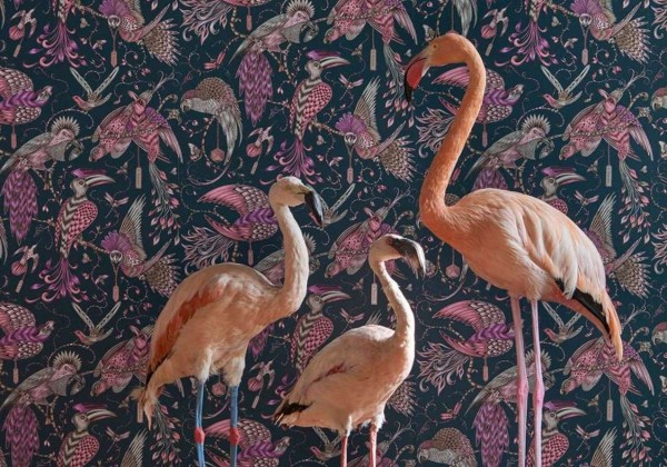 Papel Pintado Audubon Jungle WP W0099-03 - CLARKE & CLARKE