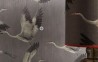 Papel Pintado HIBIKO CA8262-091 - CARLUCCI DI CHIVASSO