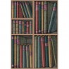 Papel Pintado Ex Libris 114-5010 - COLE and SON