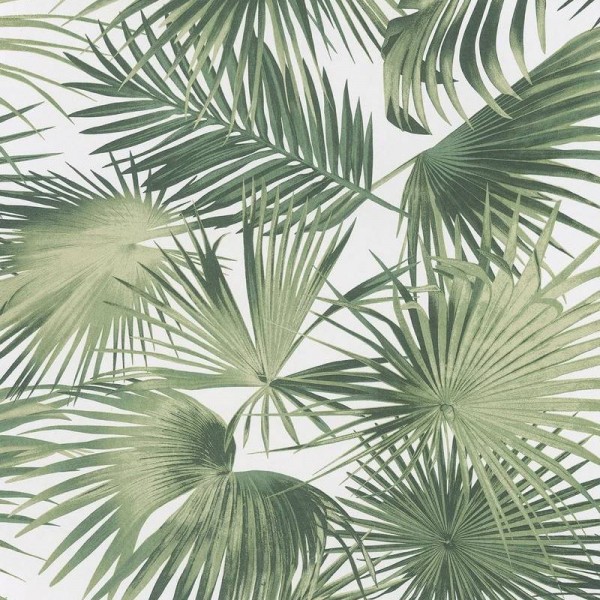 Papel Pintado WIL104 RATAN GREENERY - KHROMA Papel Pintado WIL104 RATAN GREENERY - KHROMA