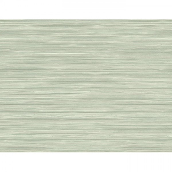 Papel Pintado BW40914 GRASSCLOTH TEXTURE - WALLQUEST