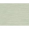 Papel Pintado BW40914 GRASSCLOTH TEXTURE - WALLQUEST