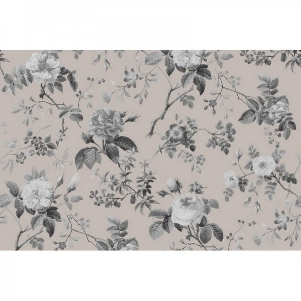 Papel Pintado R13075 THORN ROSE, EARLY RISE - REBEL WALLS Papel Pintado R13075 THORN ROSE, EARLY RISE - REBEL WALLS