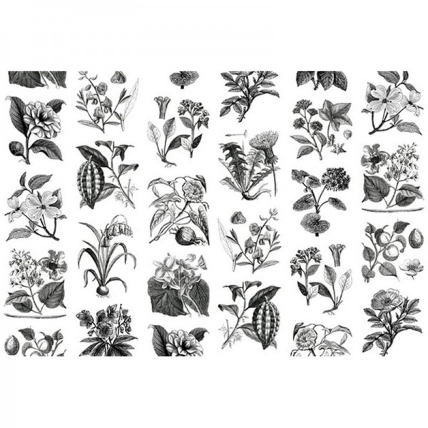 Papel Pintado R13171 FRUIT & FLORA - REBEL WALLS Papel Pintado R13171 FRUIT & FLORA - REBEL WALLS