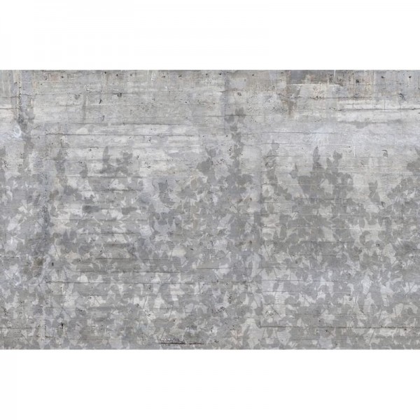 Papel Pintado R13994 CLIMBING CLOROFYL, SHADOW - REBEL WALLS Papel Pintado R13994 CLIMBING CLOROFYL, SHADOW - REBEL WALLS
