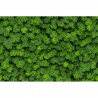 Papel Pintado R15841 CLOVER - REBEL WALLS