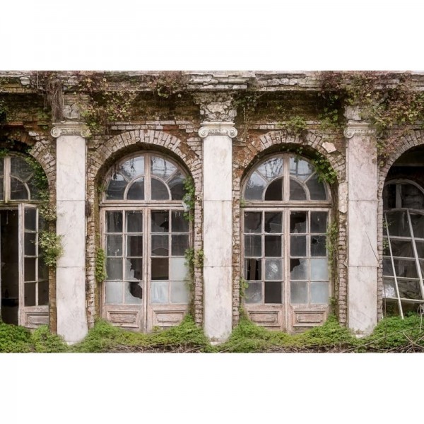 Papel Pintado R16031 RUIN ROMANCE - REBEL WALLS Papel Pintado R16031 RUIN ROMANCE - REBEL WALLS
