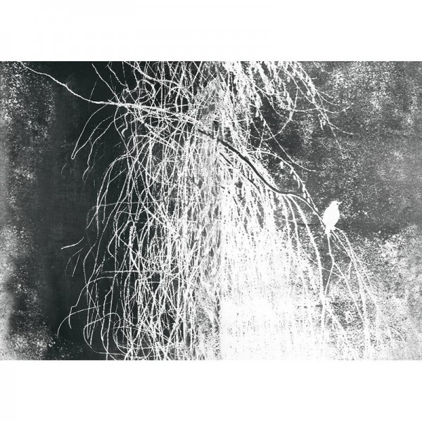 Papel Pintado ALBA SALIX WDAS1801 - WALL AND DECO Papel Pintado ALBA SALIX WDAS1801 - WALL AND DECO