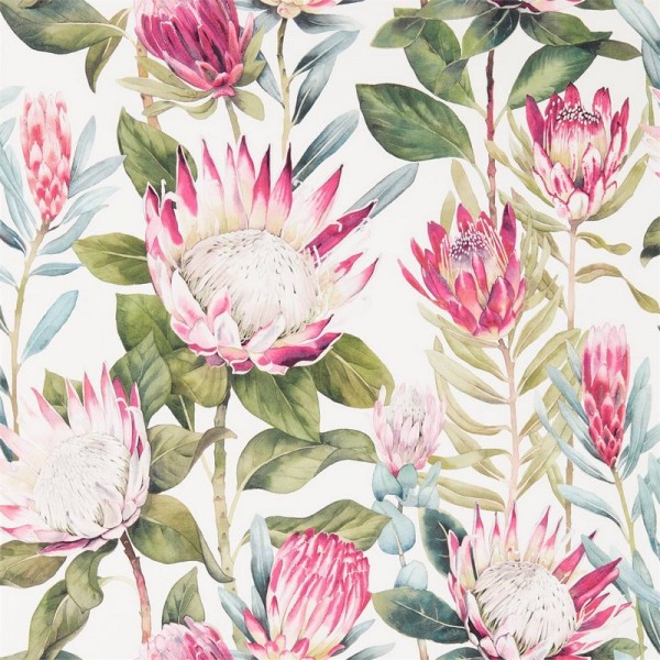 Papel Pintado KING PROTEA DGLW216646 Rodera/Cream - Sanderson Papel Pintado KING PROTEA DGLW216646 Rodera/Cream - Sanderson