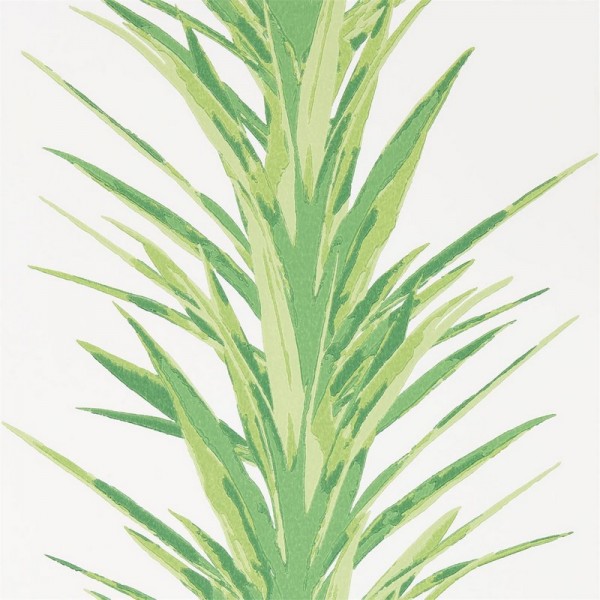 Papel Pintado YUCCA DGLW216649 Botanical Green - Sanderson Papel Pintado YUCCA DGLW216649 Botanical Green - Sanderson
