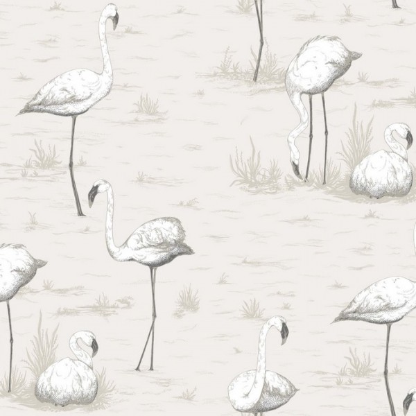 Papel Pintado Flamingos 95-8046 - COLE and SON Papel Pintado Flamingos 95-8046 - COLE and SON