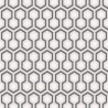 Hicks' Hexagon 66-8055