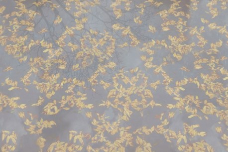 Papel Pintado Pluvial GLIX481A - GLAMORA
