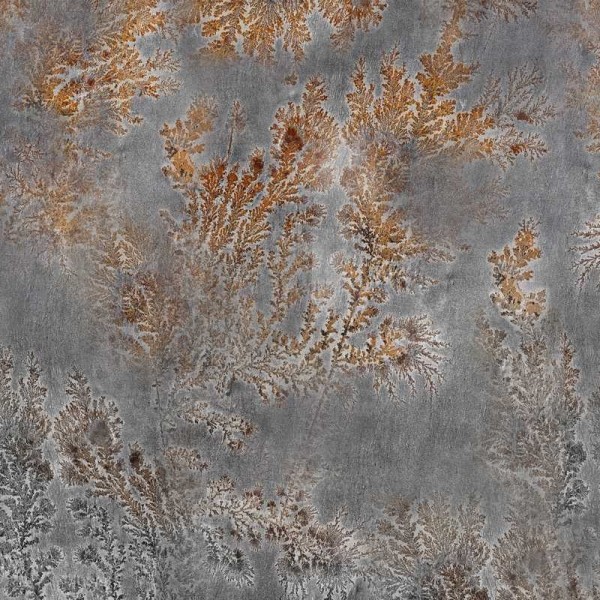 Papel Pintado GLFO122B OCTOCORALLIA - GLAMORA Papel Pintado GLFO122B OCTOCORALLIA - GLAMORA
