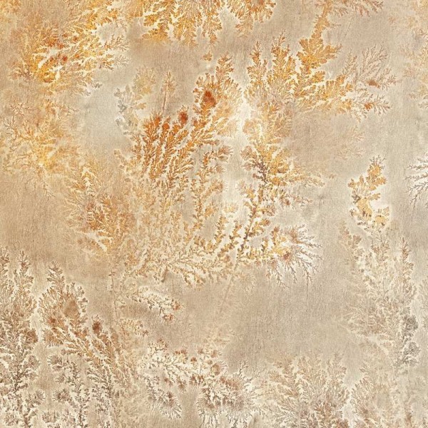 Papel Pintado GLFO124B OCTOCORALLIA - GLAMORA Papel Pintado GLFO124B OCTOCORALLIA - GLAMORA