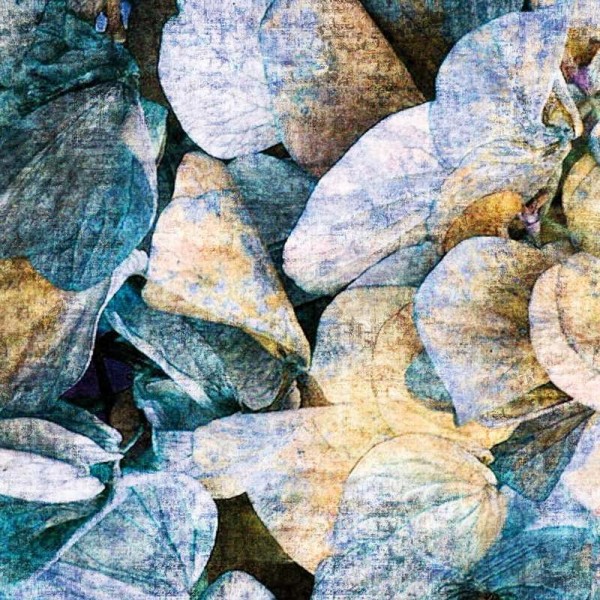 Papel Pintado GLNA103A PARK - GLAMORA