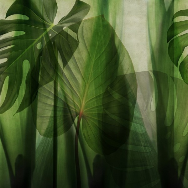 Papel Pintado GLRO101A EQUATORIAL JUNGLE - GLAMORA Papel Pintado GLRO101A EQUATORIAL JUNGLE - GLAMORA