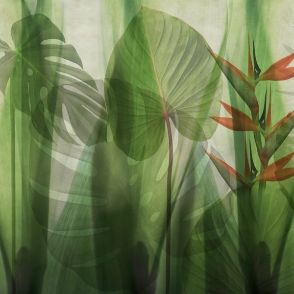 Papel Pintado GLRO102B EQUATORIAL JUNGLE - GLAMORA Papel Pintado GLRO102B EQUATORIAL JUNGLE - GLAMORA