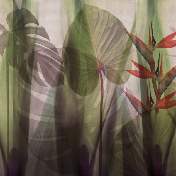 Papel Pintado GLRO104B EQUATORIAL JUNGLE - GLAMORA Papel Pintado GLRO104B EQUATORIAL JUNGLE - GLAMORA