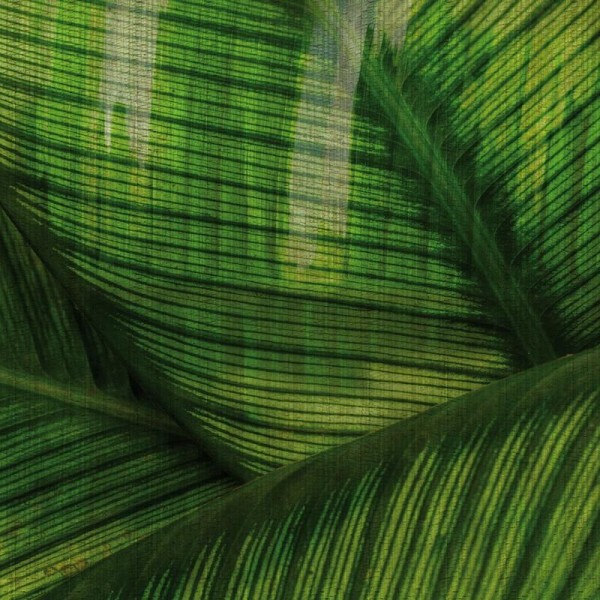 Papel Pintado GLRO121B LEAF - GLAMORA Papel Pintado GLRO121B LEAF - GLAMORA