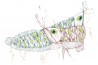 Papel Pintado CG13A-AGRESSIVENESS-EXPRESSIVENESS - GLAMORA