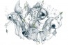 Papel Pintado CG44A-FISHCAKES-AND-REMEDIES - GLAMORA