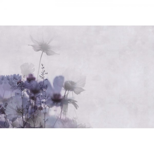 Papel Pintado MEADOW GLFR12B - GLAMORA