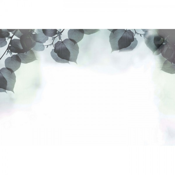 Papel Pintado SHADOW GLFR31B - GLAMORA Papel Pintado SHADOW GLFR31B - GLAMORA