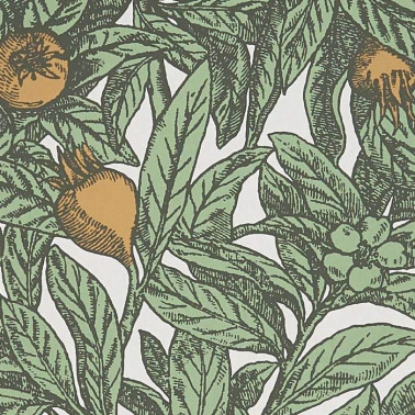 Papel Pintado Medlar W7458-04 - OSBORNE and LITTLE