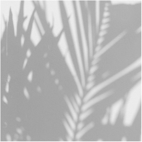 Papel Pintado PALM SHADOW DOM148 - LES DOMINOTIERS