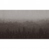 Papel Pintado Bosco B5902 - CODE COMTEMPORARY DESING BY JANNELLI