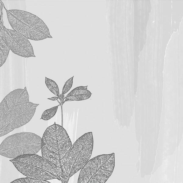 Papel Pintado Brushed botanique B6303 - CODE COMTEMPORARY DESING BY JANNELLI