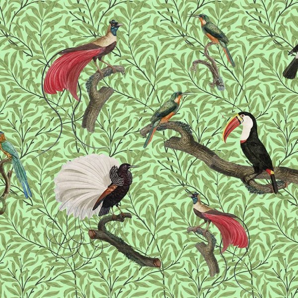 Papel Pintado Exotic Feathers B2903 - CODE COMTEMPORARY DESING BY JANNELLI