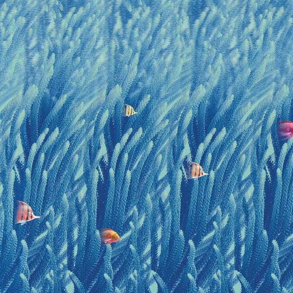 Papel Pintado Marsa B0602 - CODE COMTEMPORARY DESING BY JANNELLI