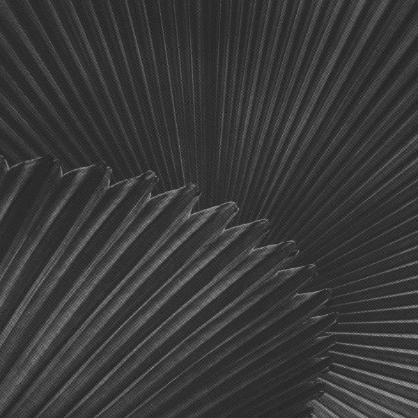 Papel Pintado Tulum B1305 - CODE COMTEMPORARY DESING BY JANNELLI