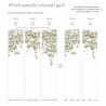 Papel Pintado Classic Clematis Mural Wallpaper White - SIAN ZENG