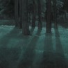 Papel Pintado PINE-TREES DOM1510 - LES DOMINOTIERS