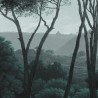 Papel Pintado PINE-TREES DOM1510 - LES DOMINOTIERS